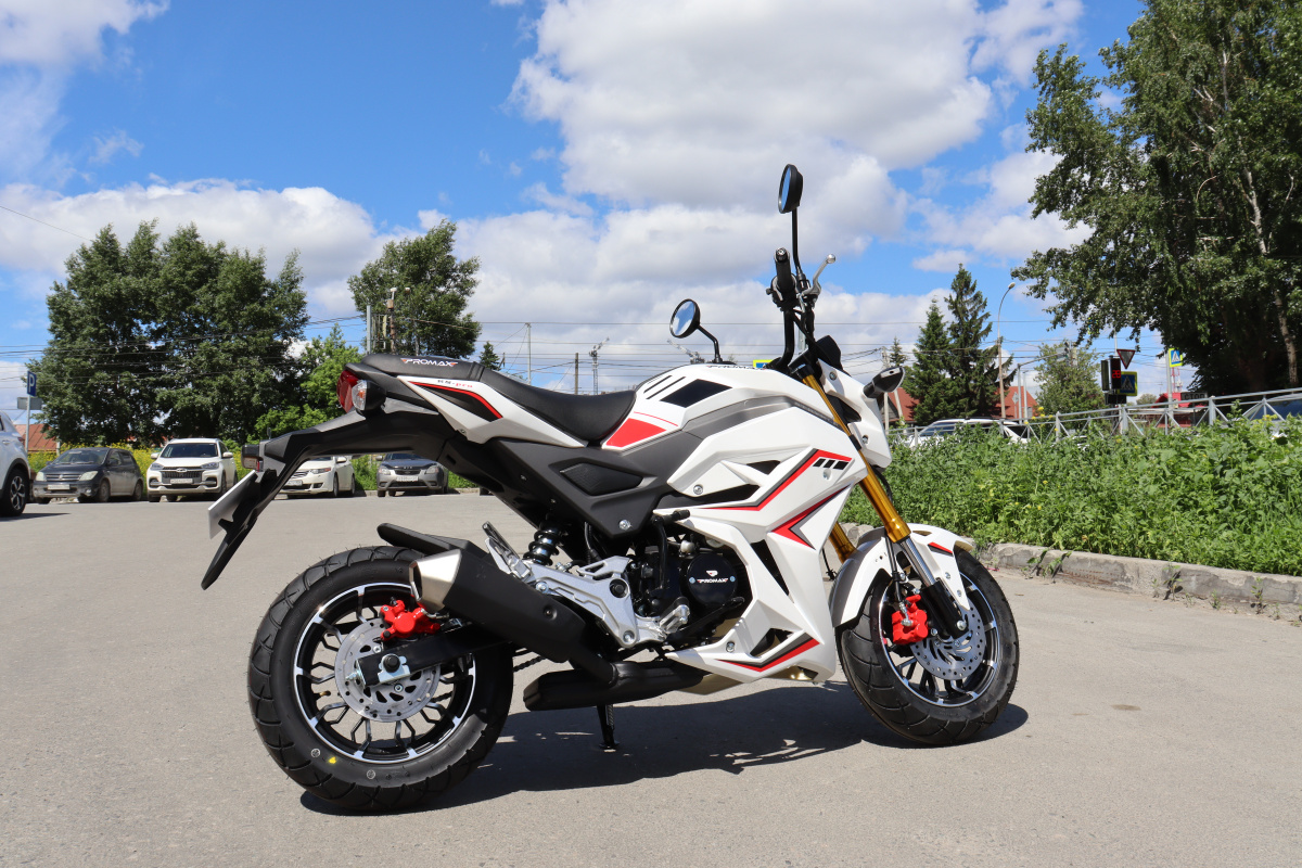 Мотоцикл PROMAX STRYKER 200(49) 2.0 в Южно-Сахалинске