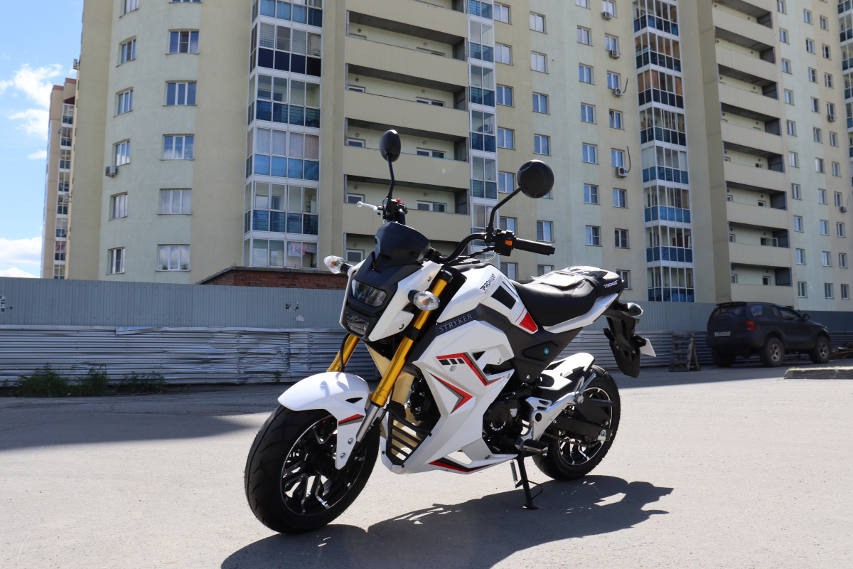 Мотоцикл PROMAX STRYKER 200(49) 2.0 в Южно-Сахалинске