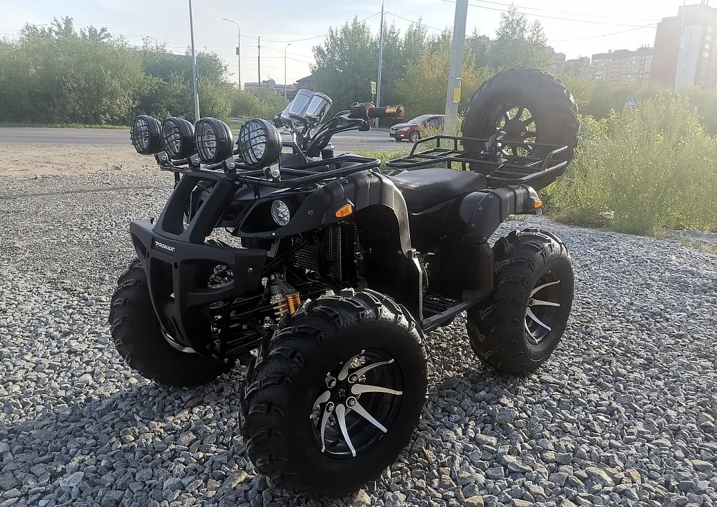 Квадроцикл PROMAX LEO 300 Max (кардан) в Южно-Сахалинске