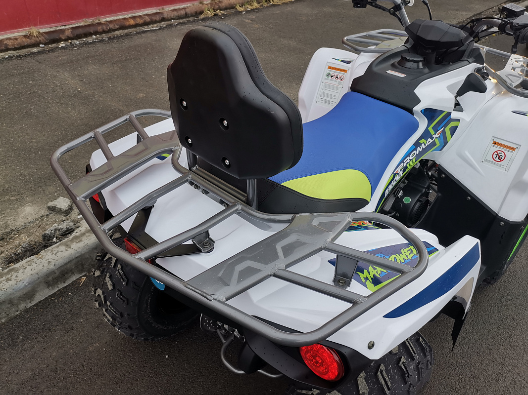 Квадроцикл PROMAX RENEGADE 280 LUX (2025) в Южно-Сахалинске
