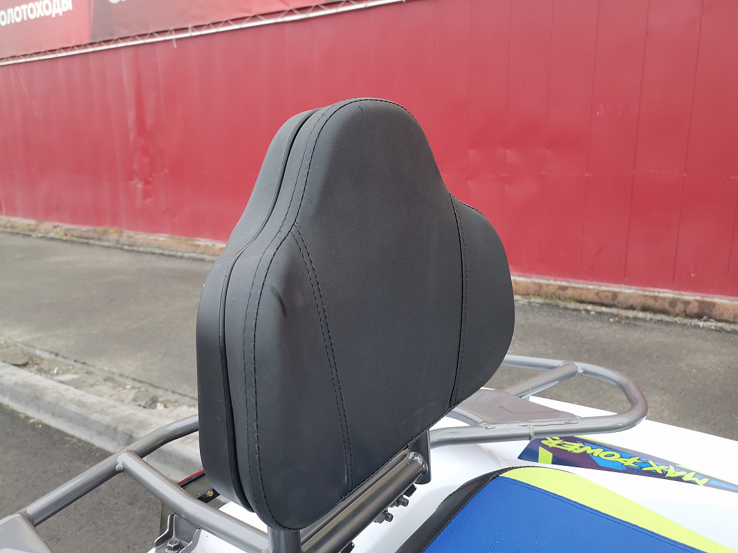 Квадроцикл PROMAX RENEGADE 280 LUX (2025) в Южно-Сахалинске