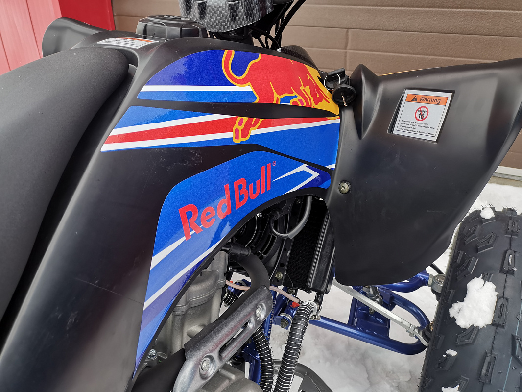 Квадроцикл PROMAX RAPTOR 300 NEW RedBull в Южно-Сахалинске