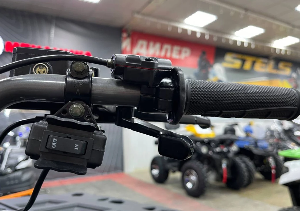 Квадроцикл PROMAX RENEGADE 300 LONG WINCH PRO (2025) в Южно-Сахалинске