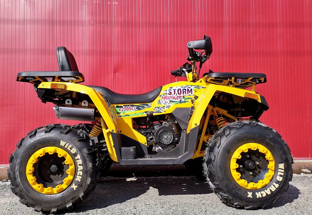 Квадроцикл PROMAX STORM 280 LUX в Южно-Сахалинске