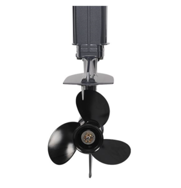 Лодочный мотор ALLFA CG Т40FW S в Южно-Сахалинске