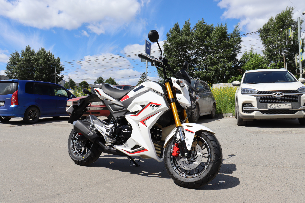 Мотоцикл PROMAX STRYKER 200(49) 2.0 в Южно-Сахалинске