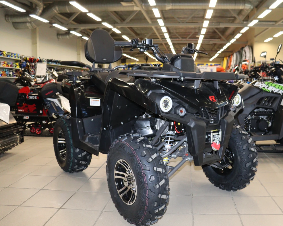 Квадроцикл PROMAX RENEGADE 300 LONG WINCH PRO (2025) в Южно-Сахалинске