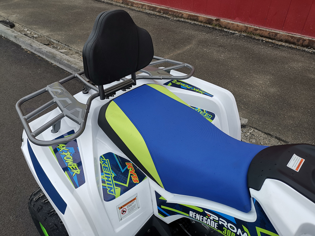 Квадроцикл PROMAX RENEGADE 280 LUX (2025) в Южно-Сахалинске