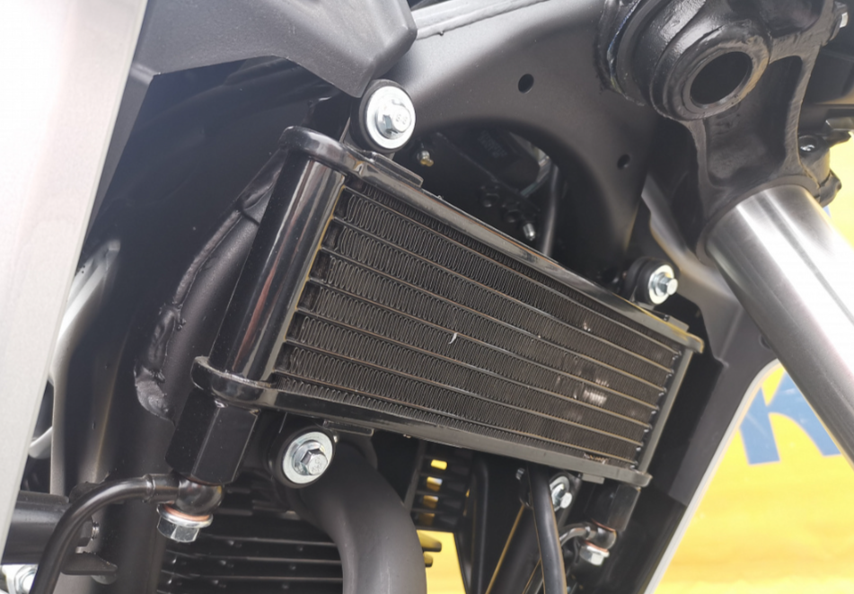 Мотоцикл MOTOLAND (МОТОЛЕНД) 250 CB250 (172FMM-5/PR250) (2022 г.) в Южно-Сахалинске