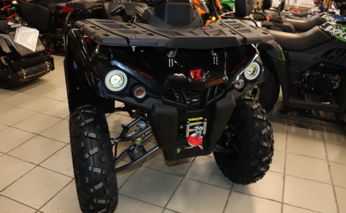 Квадроцикл PROMAX RENEGADE 300 LONG WINCH PRO (2025) в Южно-Сахалинске