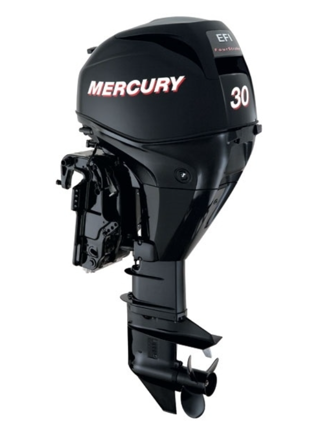 ЛОДОЧНЫЙ МОТОР MERCURY  F 30 ELH GA EFI в Южно-Сахалинске