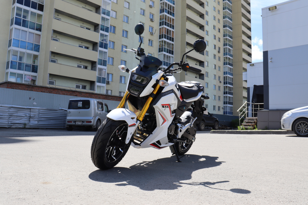 Мотоцикл PROMAX STRYKER 200(49) 2.0 в Южно-Сахалинске