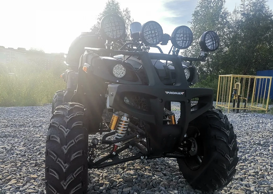 Квадроцикл PROMAX LEO 300 Max (кардан) в Южно-Сахалинске