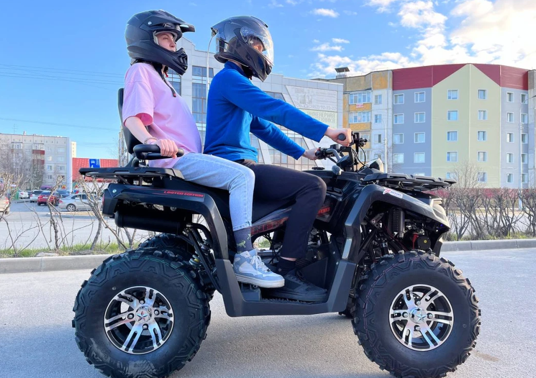 Квадроцикл PROMAX RENEGADE 300 LONG WINCH PRO (2025) в Южно-Сахалинске