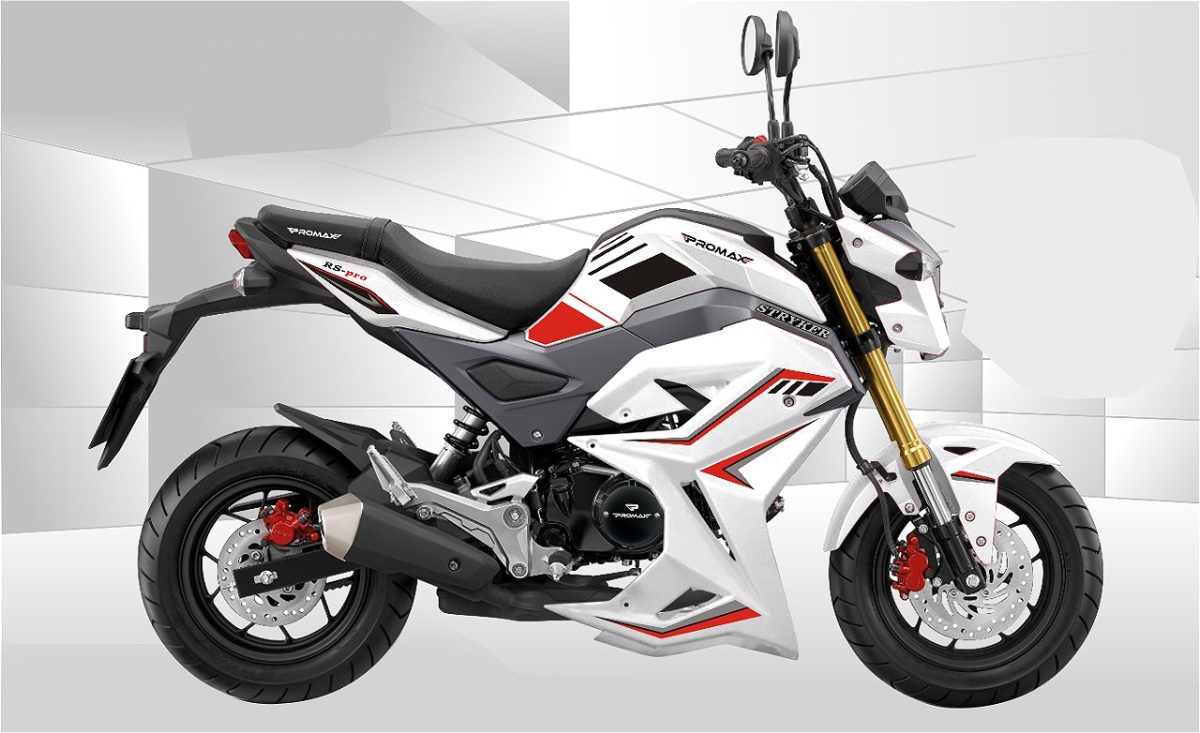 Мотоцикл PROMAX STRYKER 200(49) 2.0 в Южно-Сахалинске