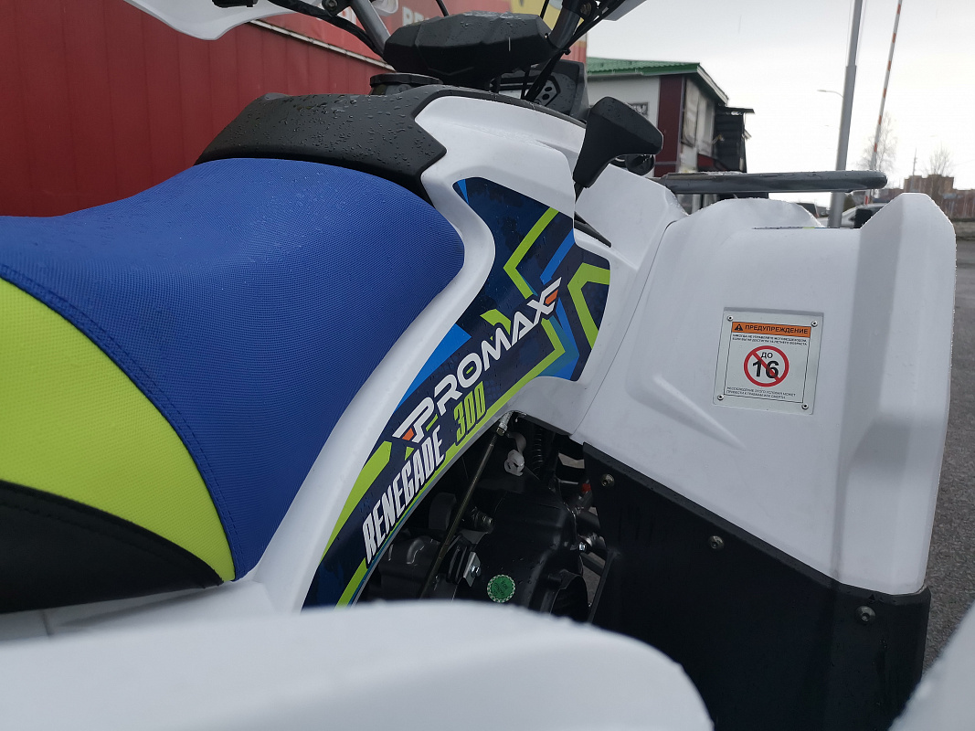 Квадроцикл PROMAX RENEGADE 280 LUX (2025) в Южно-Сахалинске