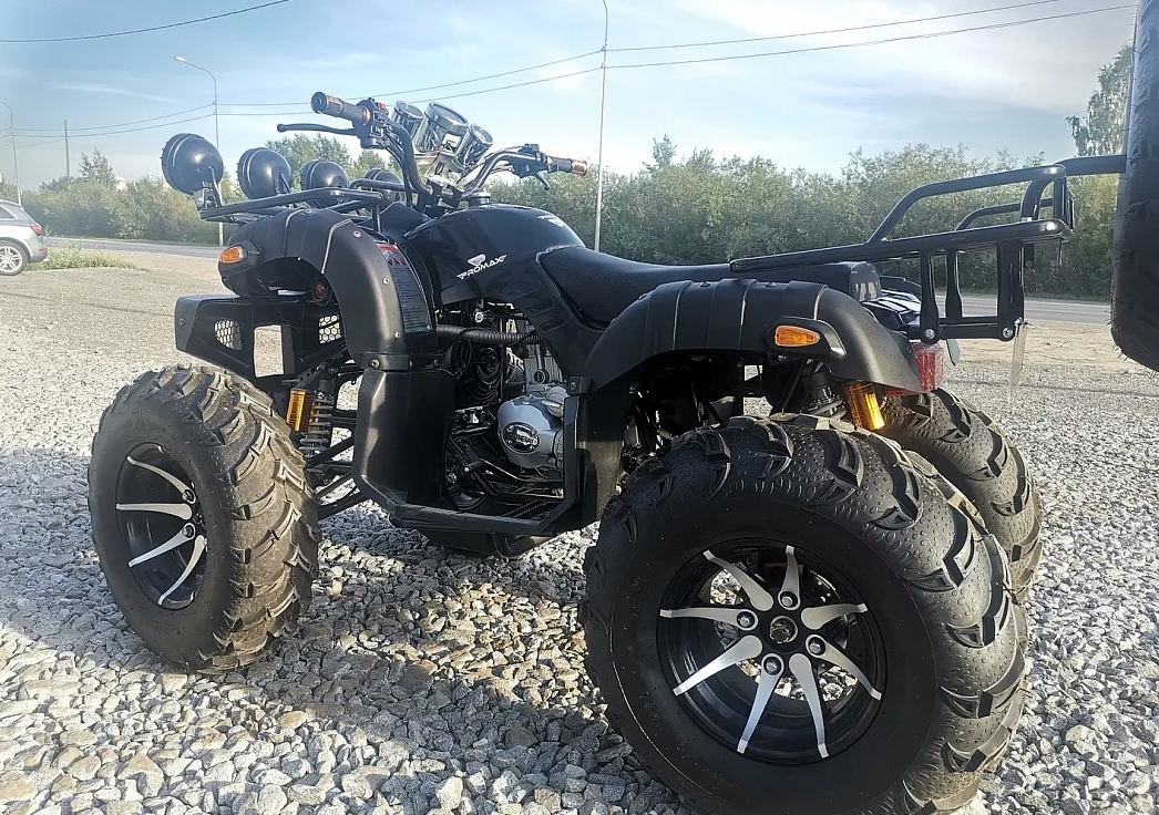 Квадроцикл PROMAX LEO 300 Max (кардан) в Южно-Сахалинске