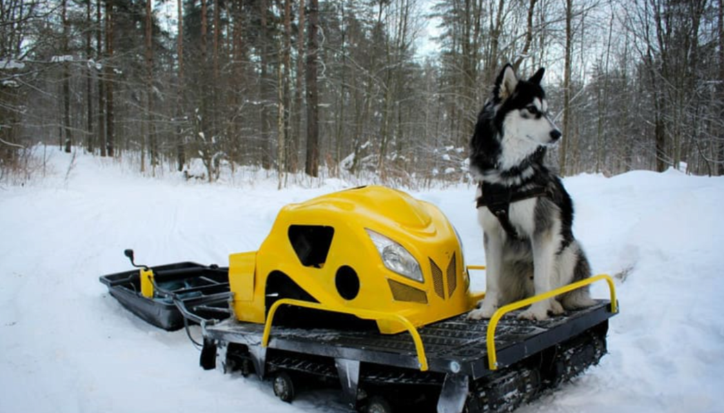Мотобуксировщик LEBEDEV MOTORS ВОЛКОДАВ POWER V13 в Южно-Сахалинске
