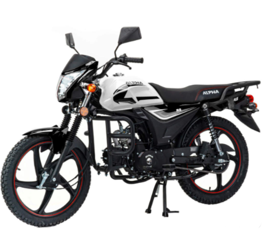 Мопед MOTOLAND (МОТОЛЕНД) Альфа RS 11 (LM48-B) в Южно-Сахалинске