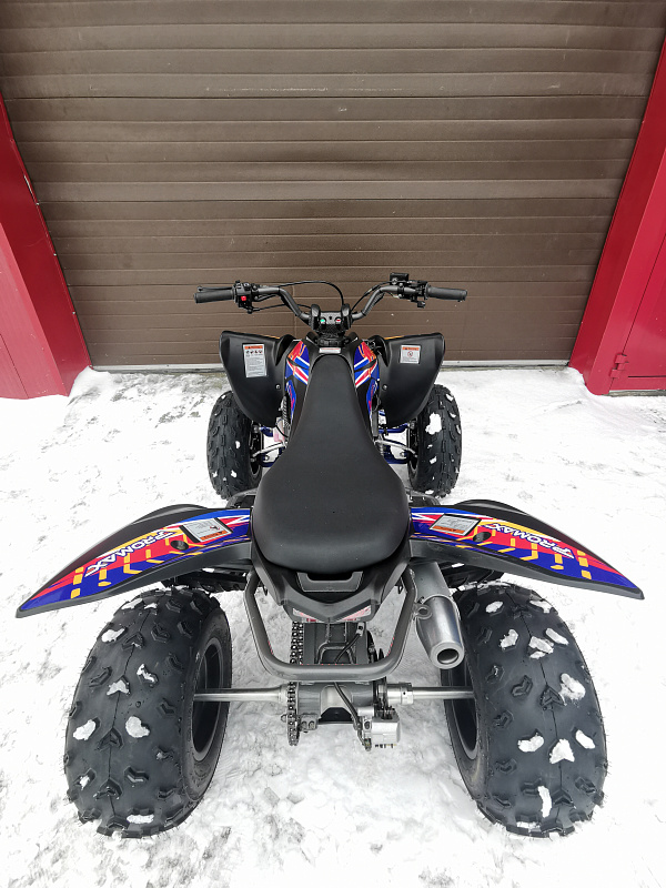 Квадроцикл PROMAX RAPTOR 300 NEW RedBull в Южно-Сахалинске