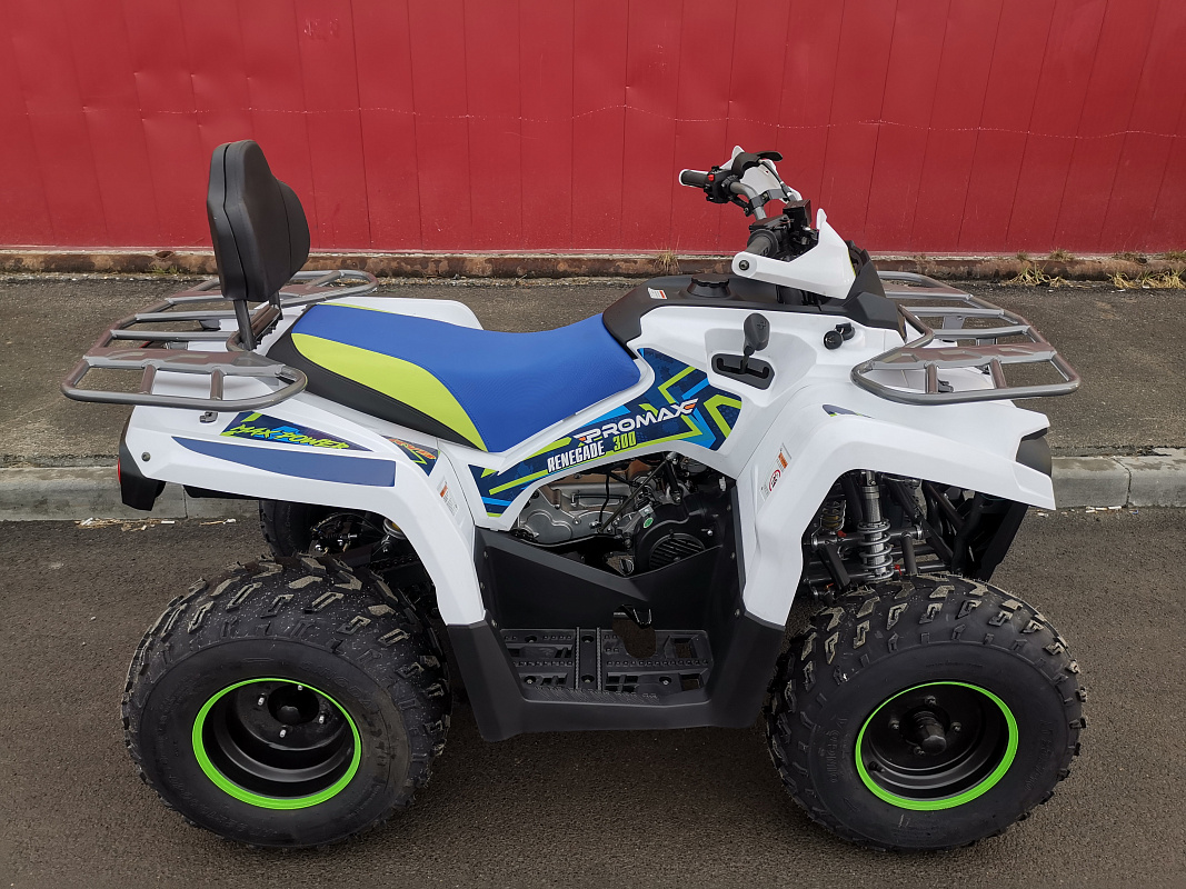 Квадроцикл PROMAX RENEGADE 280 LUX (2025) в Южно-Сахалинске