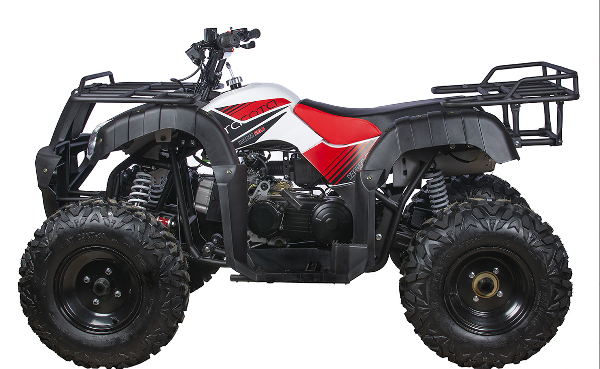 Квадроцикл YACOTA SELA 200 в Южно-Сахалинске