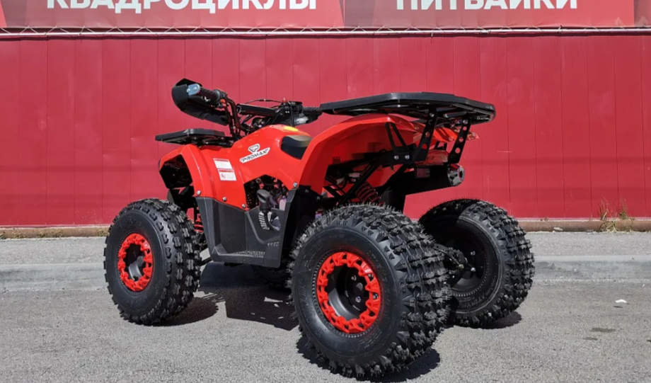 Квадроцикл PROMAX WILD 175 BASIC в Южно-Сахалинске