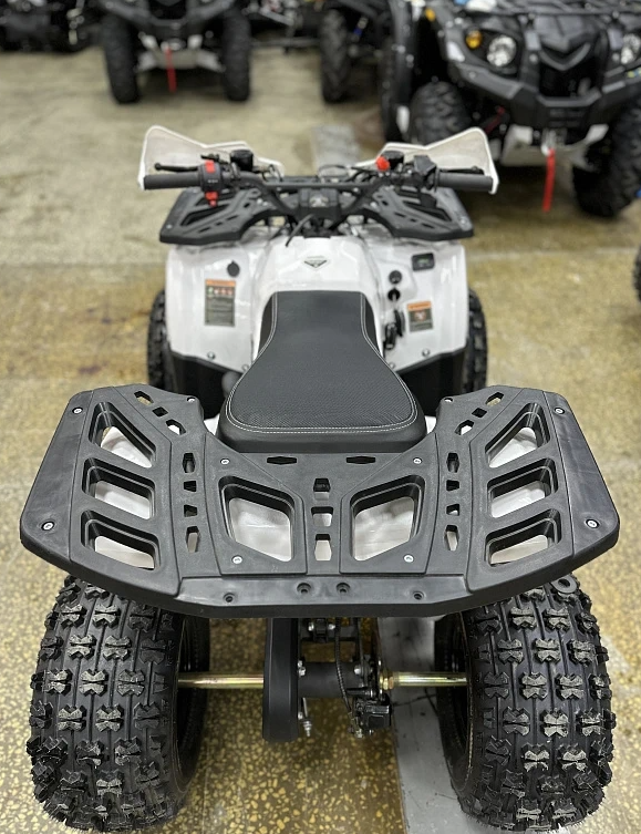 Квадроцикл PROMAX WILD 2.0 190 в Южно-Сахалинске