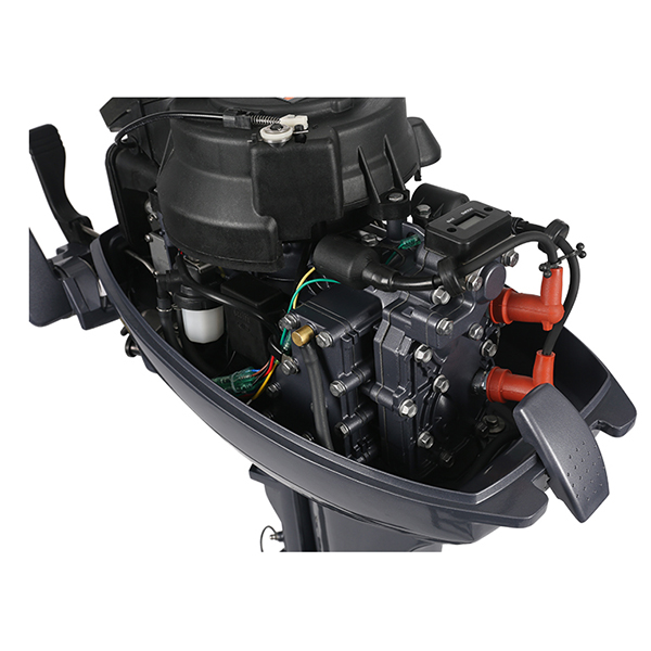 ЛОДОЧНЫЙ МОТОР ALLFA CG Т9,9 Limit в Южно-Сахалинске