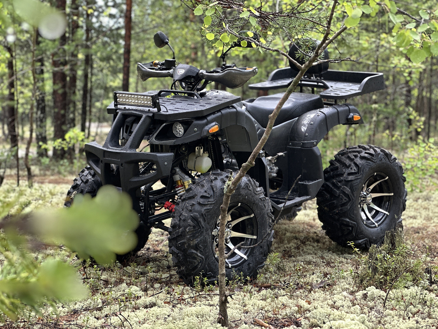 Квадроцикл PROMAX 320 DOMINATOR (2025) в Южно-Сахалинске