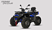 Квадроцикл PROMAX TAURUS 300 MAX-PRO LONG в Южно-Сахалинске