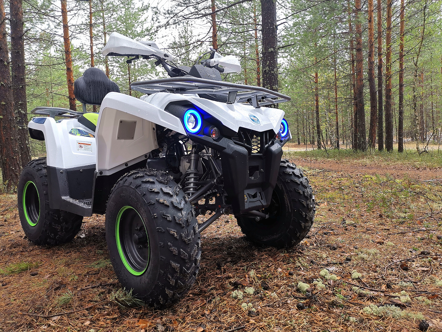 Квадроцикл PROMAX RENEGADE 280 (2025) в Южно-Сахалинске