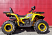 Квадроцикл PROMAX STORM 280 LUX в Южно-Сахалинске