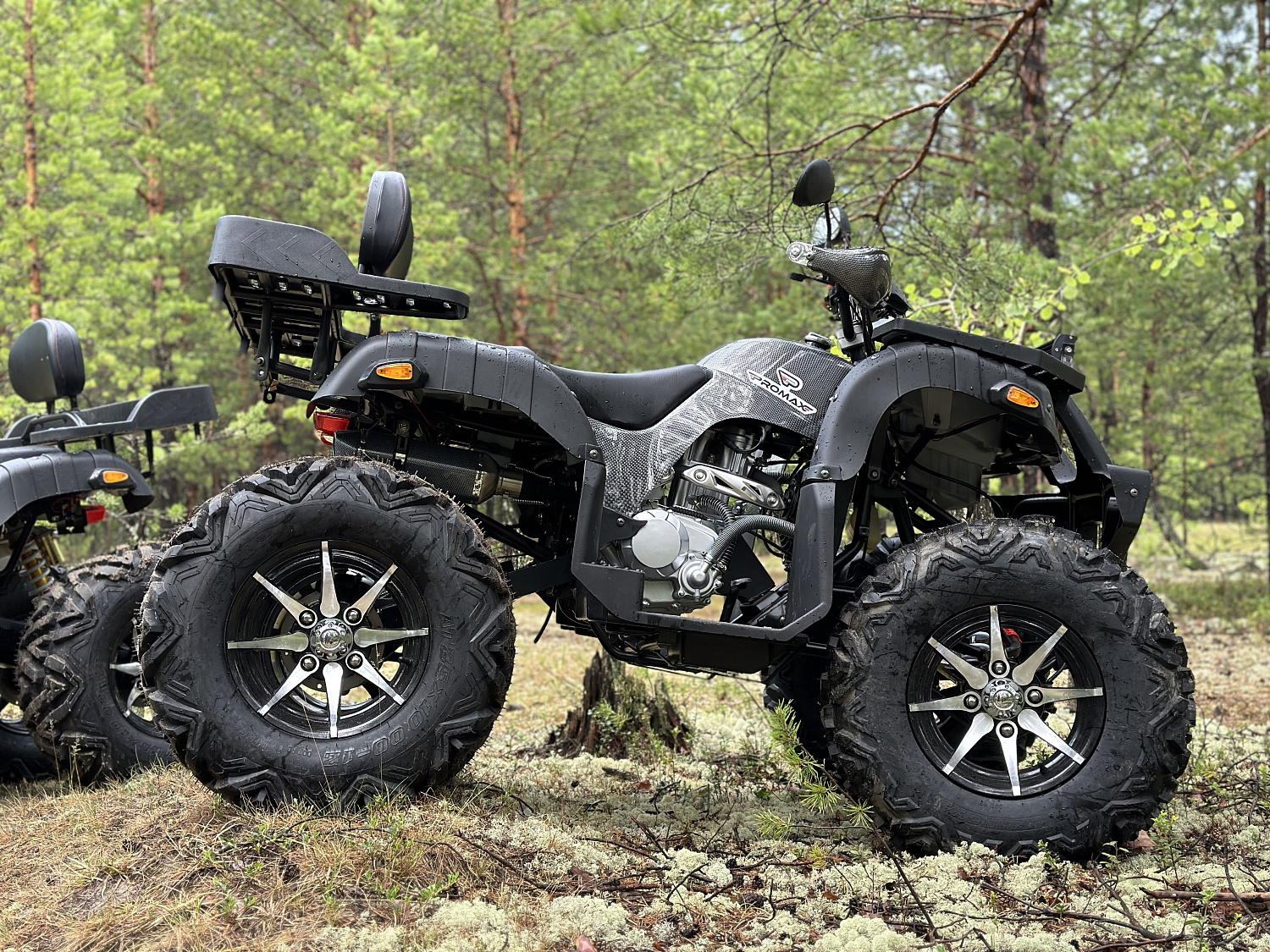 Квадроцикл PROMAX 320 DOMINATOR (2025) в Южно-Сахалинске