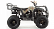 Квадроцикл MOTOLAND (МОТОЛЕНД) 200 ALL ROAD в Южно-Сахалинске