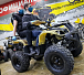 Квадроцикл PROMAX ATV 250 (2025) в Южно-Сахалинске