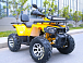Квадроцикл MOTOLAND (МОТОЛЕНД) VOX200 WILD TRACK X PRO (баланс. вал) в Южно-Сахалинске