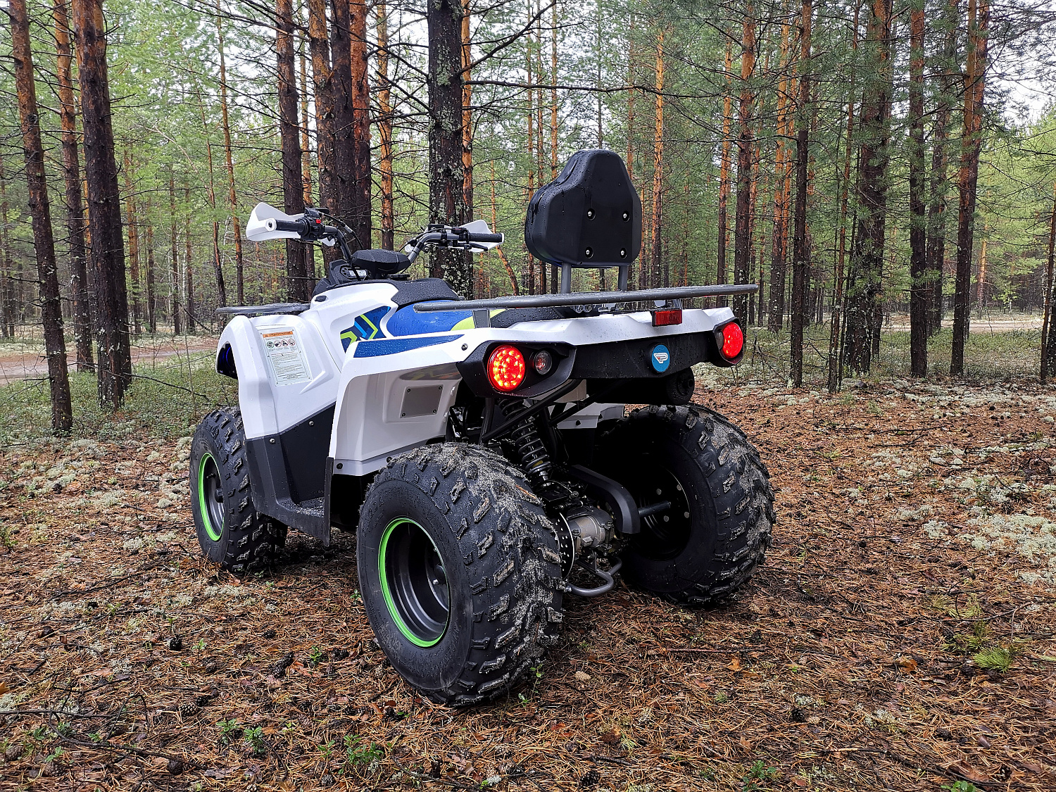 Квадроцикл PROMAX RENEGADE 280 (2025) в Южно-Сахалинске