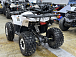 Квадроцикл PROMAX WILD 2.0 190 LUX в Южно-Сахалинске