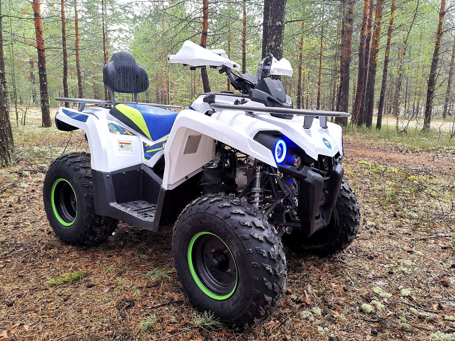 Квадроцикл PROMAX RENEGADE 280 (2025) в Южно-Сахалинске