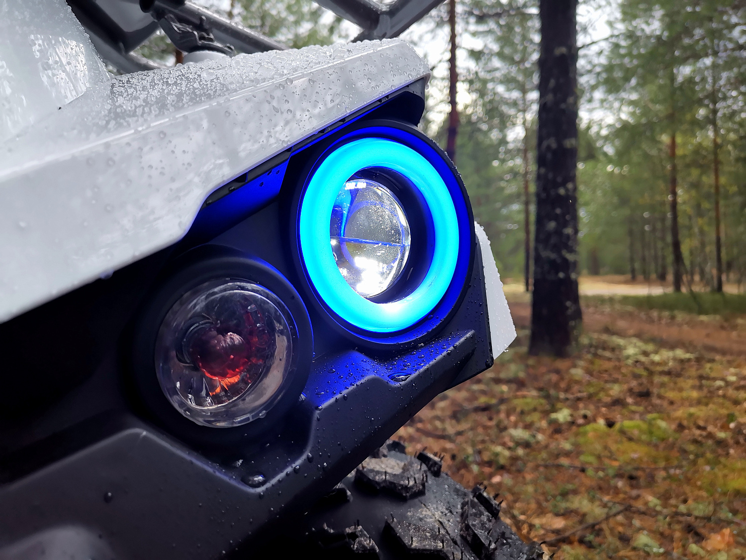 Квадроцикл PROMAX RENEGADE 280 (2025) в Южно-Сахалинске